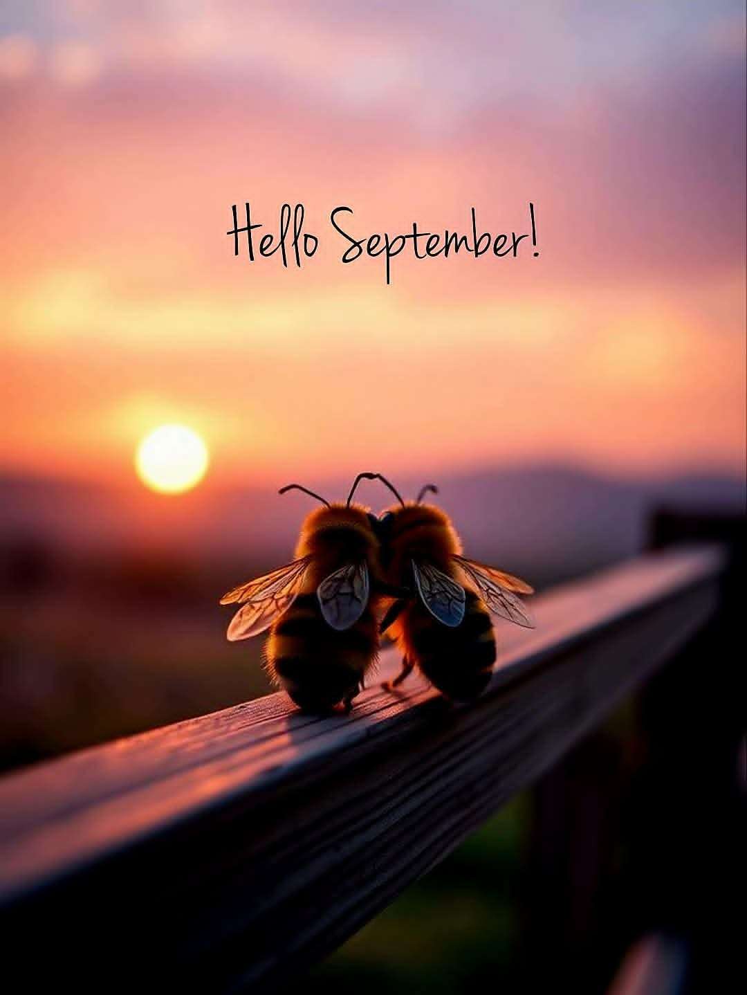 thumbnail FB IMG 1756751209738